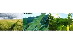 Plant Testing & Sampling Service
