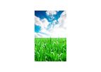 Fertilizers Service