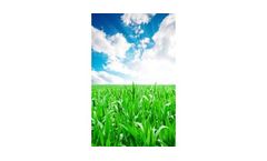 Fertilizers Service