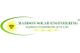 Madison Solar Engineering