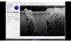 SonarTRX Video - Basic use
