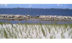 Environmental Science Services