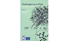 Hydrogen as a Fuel: Learning from Nature
