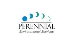 Wetlands Services