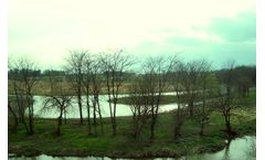 Stream or River Restoration Service
