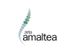 ZETA AMALTEA, S.L.