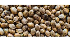 GoodHemp - Hemp