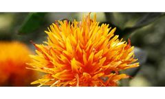 Arcadia - Model ARA - High Arachidonic Acid Safflower Oil