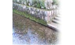 EnviroMultiMedia - Model EMM - Biological Water & Effluent Treatment