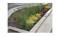 Green Infrastructure and Low-Impact Development