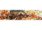 Yard Waste & Landscape Debris