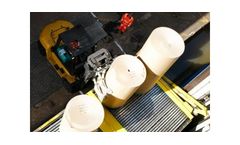 Forest Products