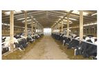 Farmplus - Cow Kennels Buildings