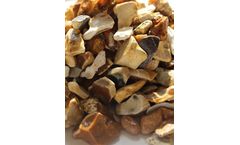 Mid Hants - Shingles