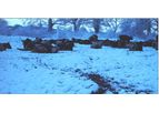Jones-McGirr - Standoff Pads for Livestock Housing