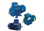 Bevi - Electric Motors for Explosive Atmospheres