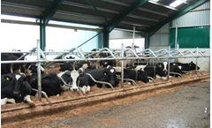 Dairy Housing