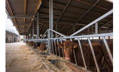 Beef Cattle Housing
