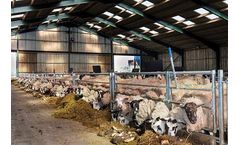 Sheep Housing & Sheep Sheds