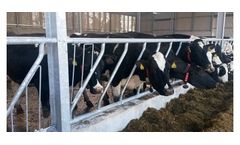 Diagonal Feed Barrier