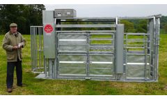 Cattle Squeeze Crushes