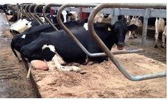 Wilson - Model Pack Mat - Rubber Crumb Filled Mattress