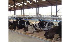 Wilson - Model AgriBed - Pasture Mat