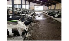 Wilson - Model AgriSoft - Premium Pad