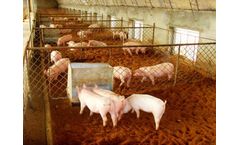 Sludge & Wastewater Treatment Equipment for Animal Husbandry Industry