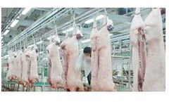 Sludge & Wastewater Treatment Equipment for Slaughtering