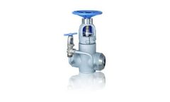 Conval Swivldisc - Gate Valves