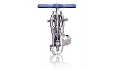 Clampseal - Globe Valve