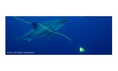 Underwater remotely operated vehicles solutions for broadcast TV & film production industry