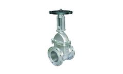 Dintech - Gate Valve