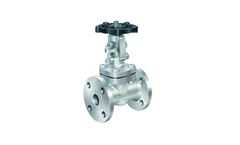 Dintech - Model 150 - Forged Steel Gate Valve
