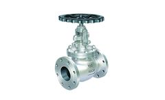 Dintech - Model ASA - Globe Valve