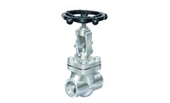 Dintech - Forged Steel Globe Valve