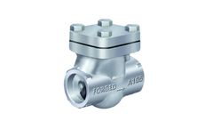 Dintech - Forged Steel Lift Check Valve