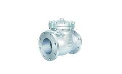 Dintech - Swing Check Valve