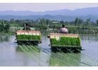 Row Paddy Transplanter