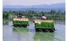Row Paddy Transplanter