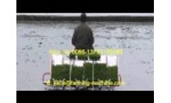 High Performance Paddy Transplanter Machine For Small Farm. Enquire Now! - Video