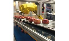 EPF - Model POM - Intelligent and Modular Fruit Packaging System