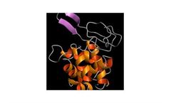 Kromasil - Model 300 Ã… - Protein and Biomolecule Separations