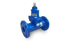 Belgicast - Model BV-05-47 F5 PN25 - Gate Valves