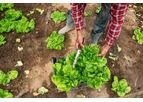 AgriGator - Model AgriGator+ - Stabilizing Soil Aggregates for Healthy Crops