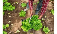 AgriGator - Model AgriGator+ - Stabilizing Soil Aggregates for Healthy Crops