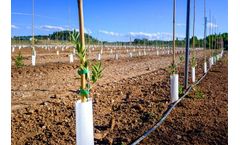 PeneGator+ - Advanced Agricultural Polymer Blend Enriched With Essential Calcium