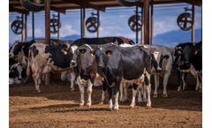 AgriGator - Dairies for Dust Control