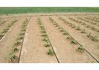 Huntop - Model 500 SQM HT1108 - Agricultural Drip Irrigation System for Farm